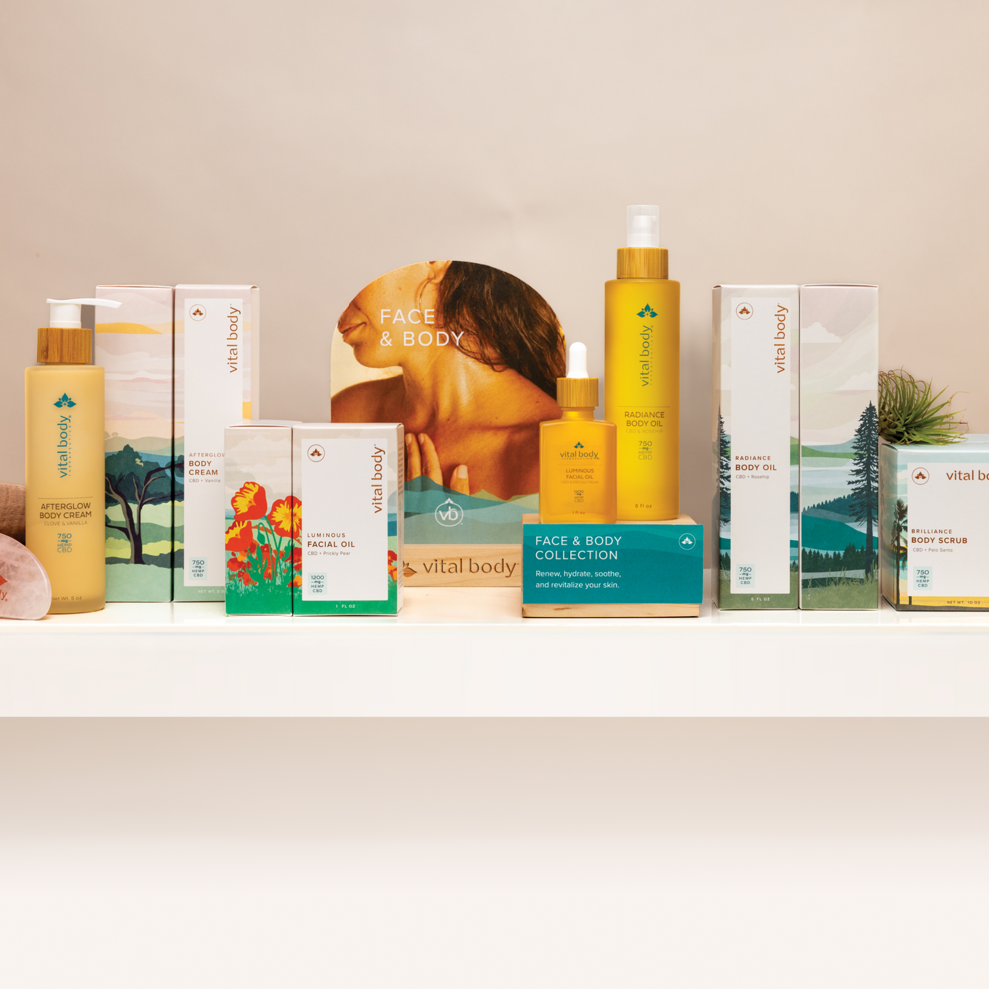 The Face & Body Display
