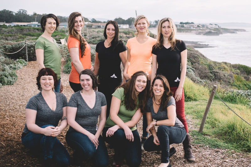 Vital Body Affiliate Program Overview