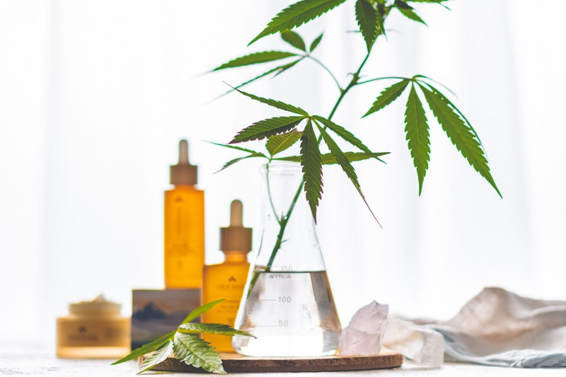 CBD Education Seminar