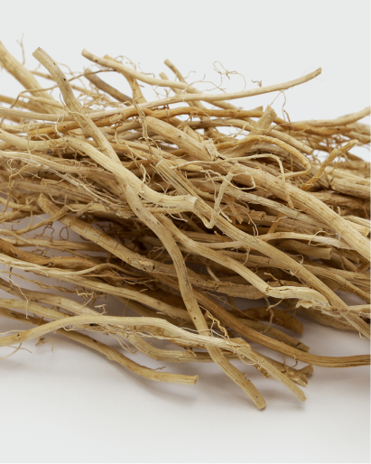 Dried roots on a white background