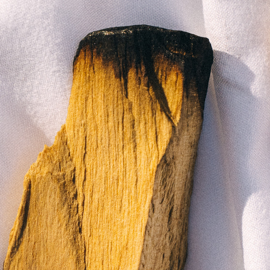 Palo Santo stick with charred end on a white fabric background