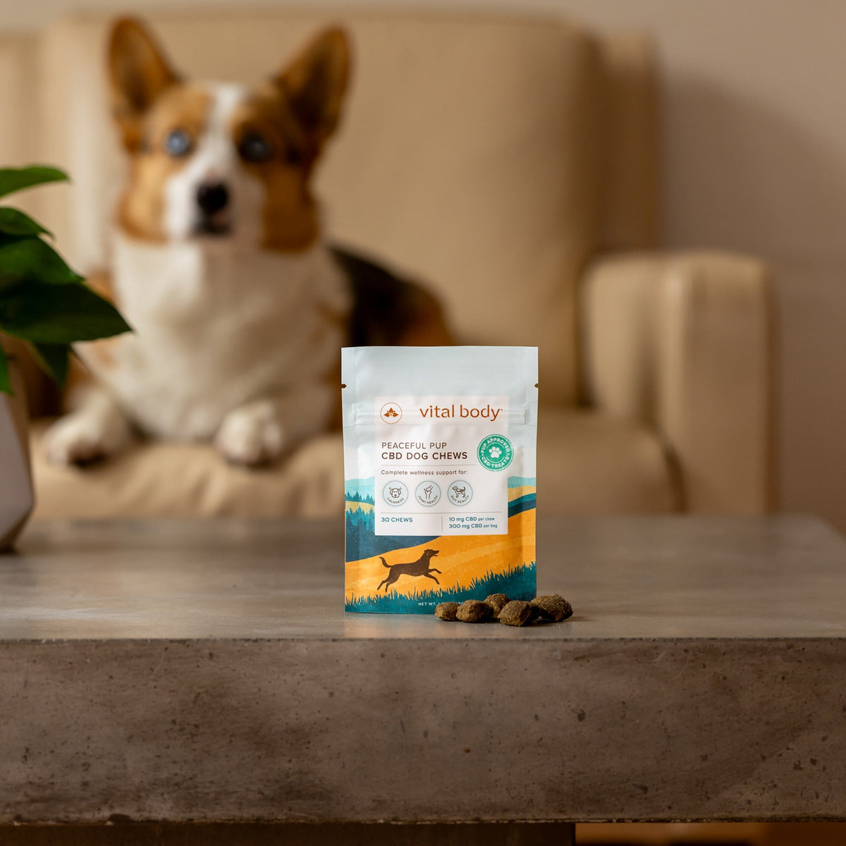 Dog chews package on a table with a dog in the background